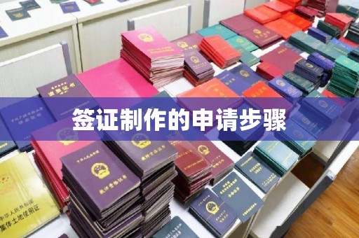天河签证制作的申请步骤